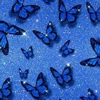 Butterfly Wallpaper