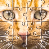 Jigsaw Puzzles: Animals