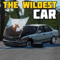 The Wildest Car