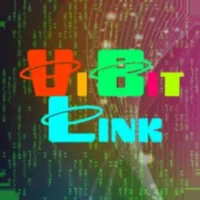 ViBit Link