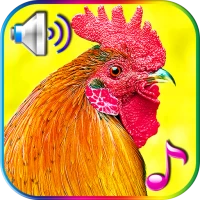 Funny Alarm Clock Ringtones