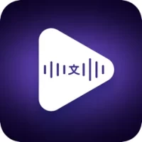 Voice Translator &amp; Dub Studio