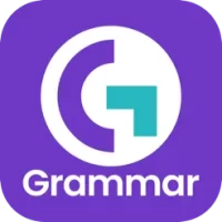 Correct Grammar Checker Tool