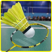 Badminton Star Premier League