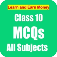 Class 10 MCQs All Subjects