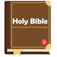 NIV Bible 1984