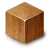 Woodblox Puzzle Wooden Blocks