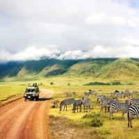 Africa Safaris