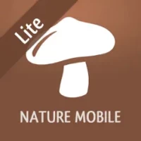 Mushrooms LITE - Field Guide