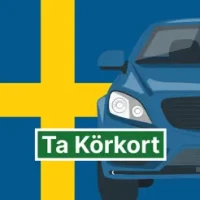 Swedish Driver License 2024