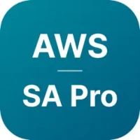 AWS SA Pro Exam Simulator