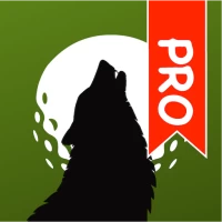 Wolf Golf Scorecard Pro