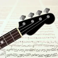 Reading Bass sheet music PRO