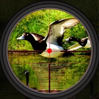 Duck Hunting Wild Shooting