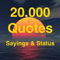 Quotes &amp; Status in English