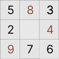 Sudoku Puzzle Brain Games