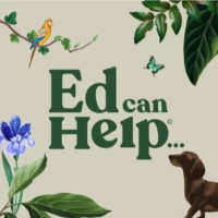 PTSD & Trauma Aid: Ed can Help