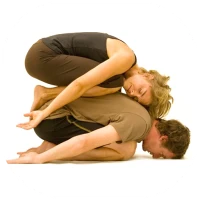 Asanas yoga poses for 2