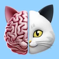 Brainy Cat: Tricky Riddles