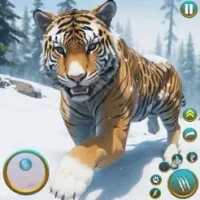 Wild Tiger Animal Survival