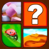 Picture Quiz - HD