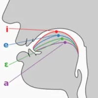 &#33521;&#35821;&#22269;&#38469;&#38899;&#26631;&#23398;&#20064;