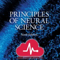 Principles of Neural Science