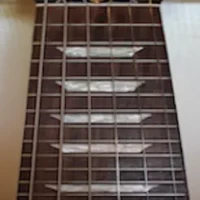 Electric Guitar Fret Addict