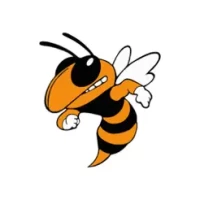 Henning Public School Hornets