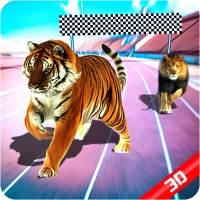 Wild Animals Racing 3D