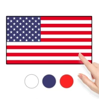 Color By Memory: Flag Painting