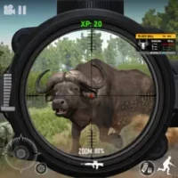 Hunting Games :Sniper Shooting