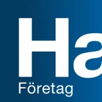 Handelsbanken SE &#8211; F&#246;retag