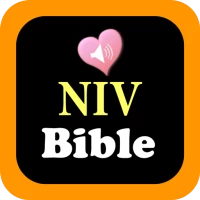 NIV Audio Bible